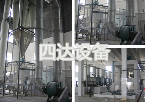 成人麻豆视频